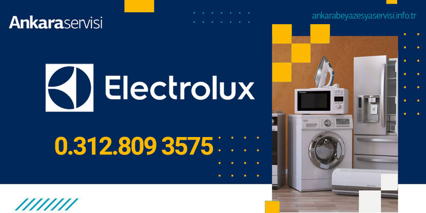 Bağlıca Electrolux Servisi